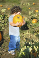 Carrying a Pumpkin