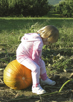 Pumpkins Make Great Seats